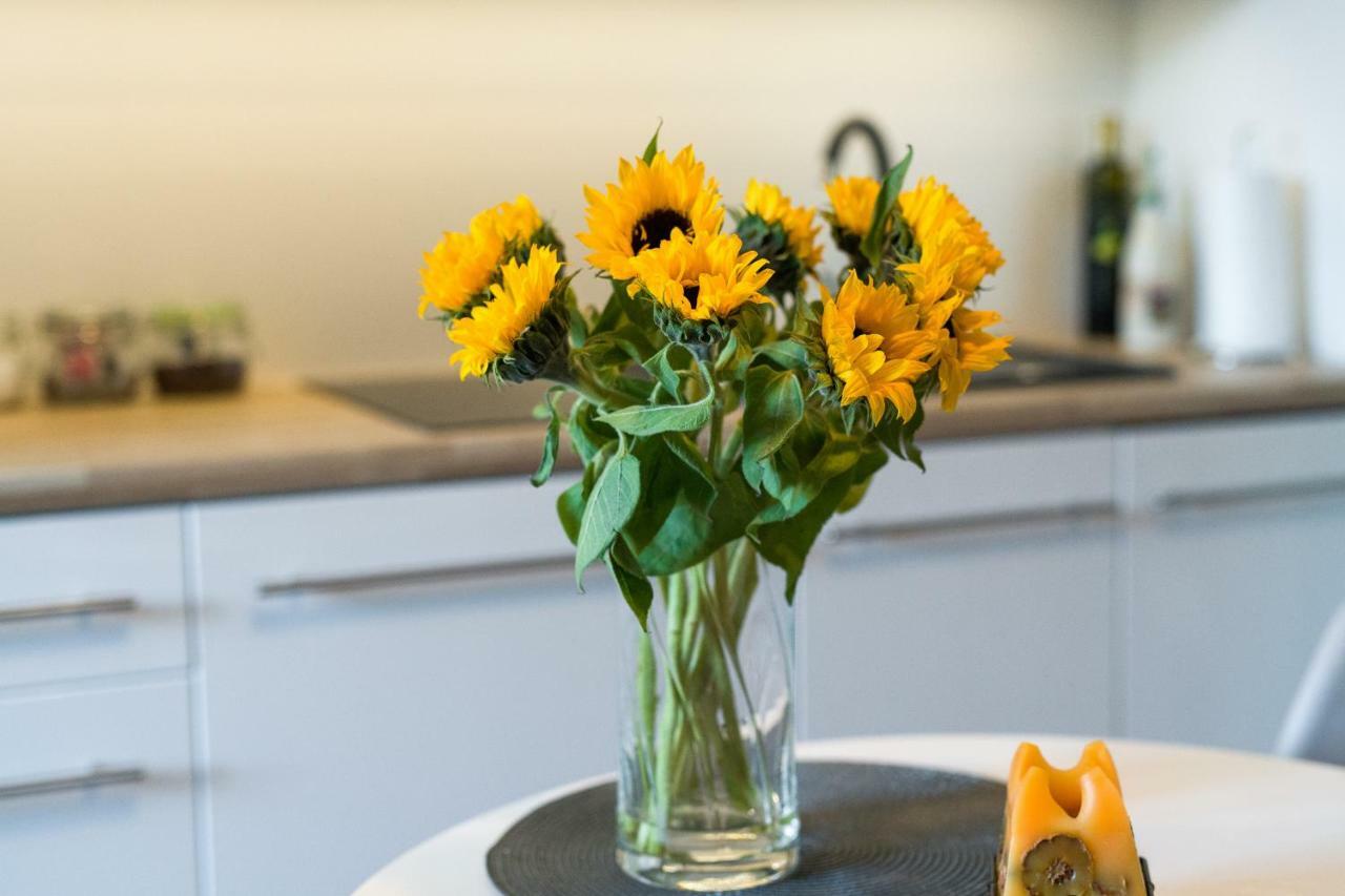 Sunflower Apartment Krasków Eksteriør bilde